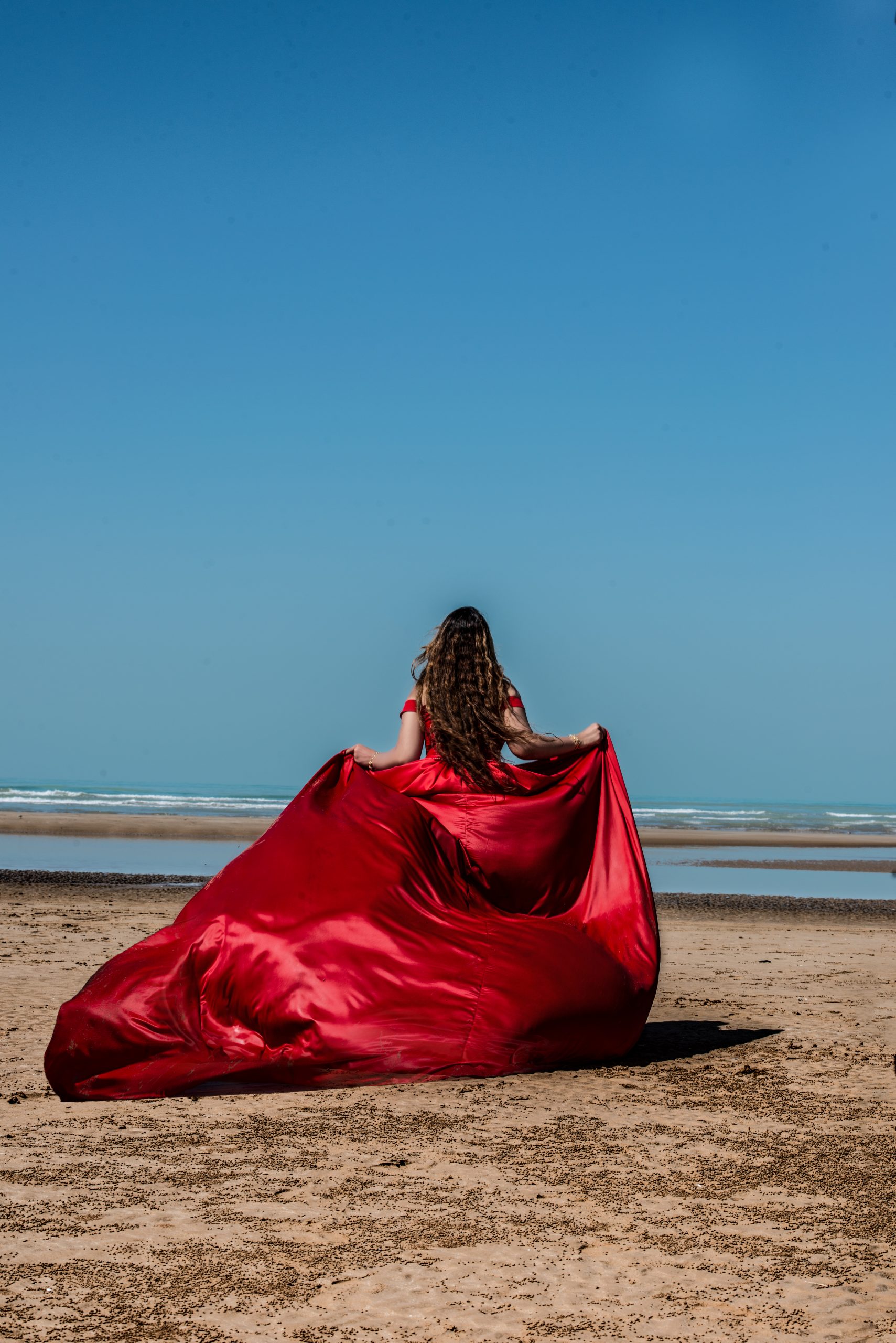 نمونه کارها